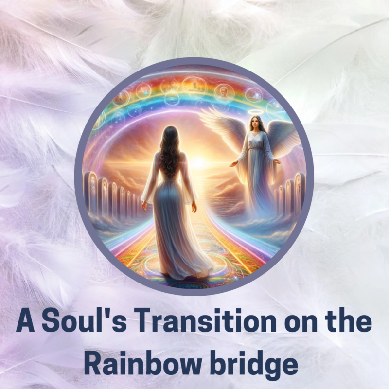 A Soul's Transition on the Rainbow bridge