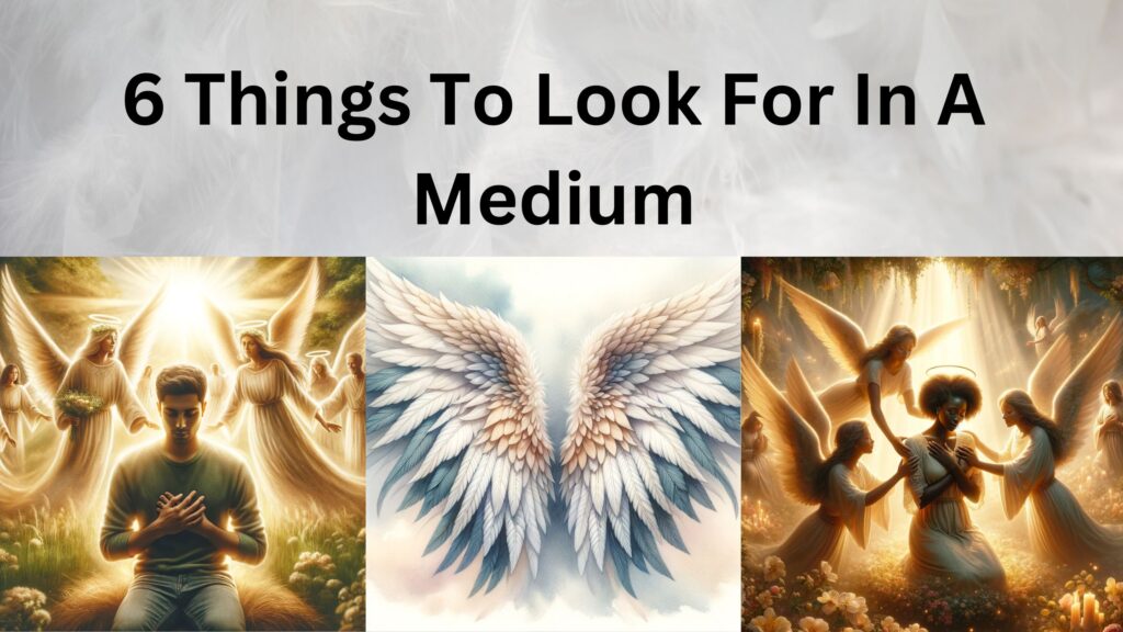 6 Things To Look For In A Medium