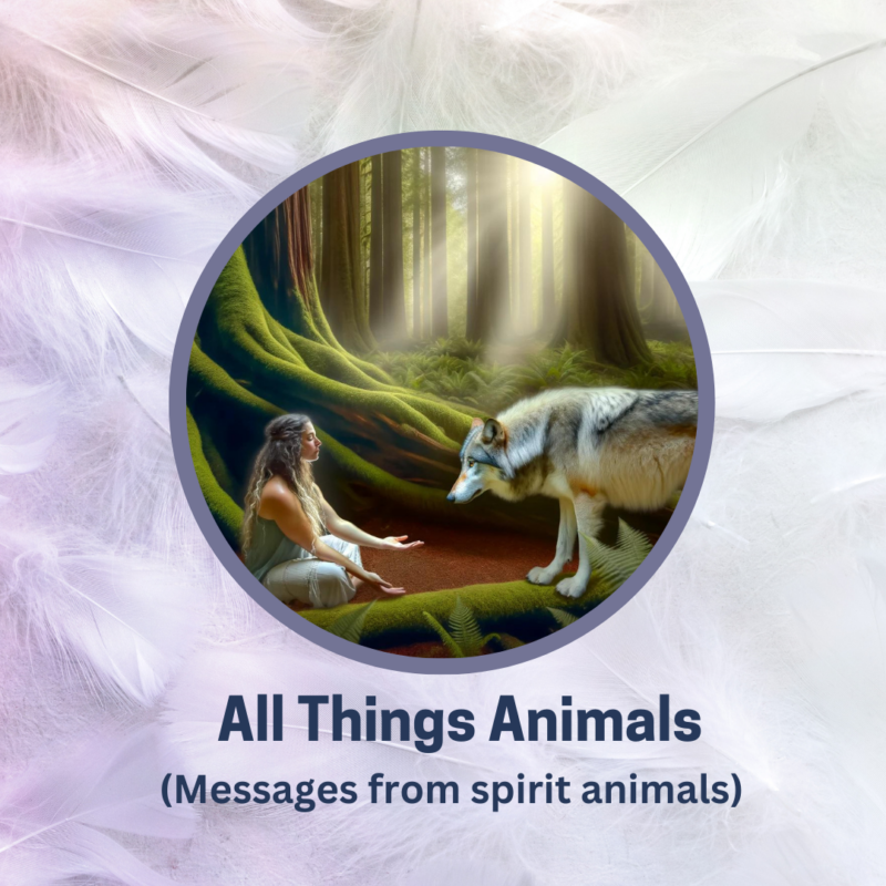 Blessed By Angels Blog